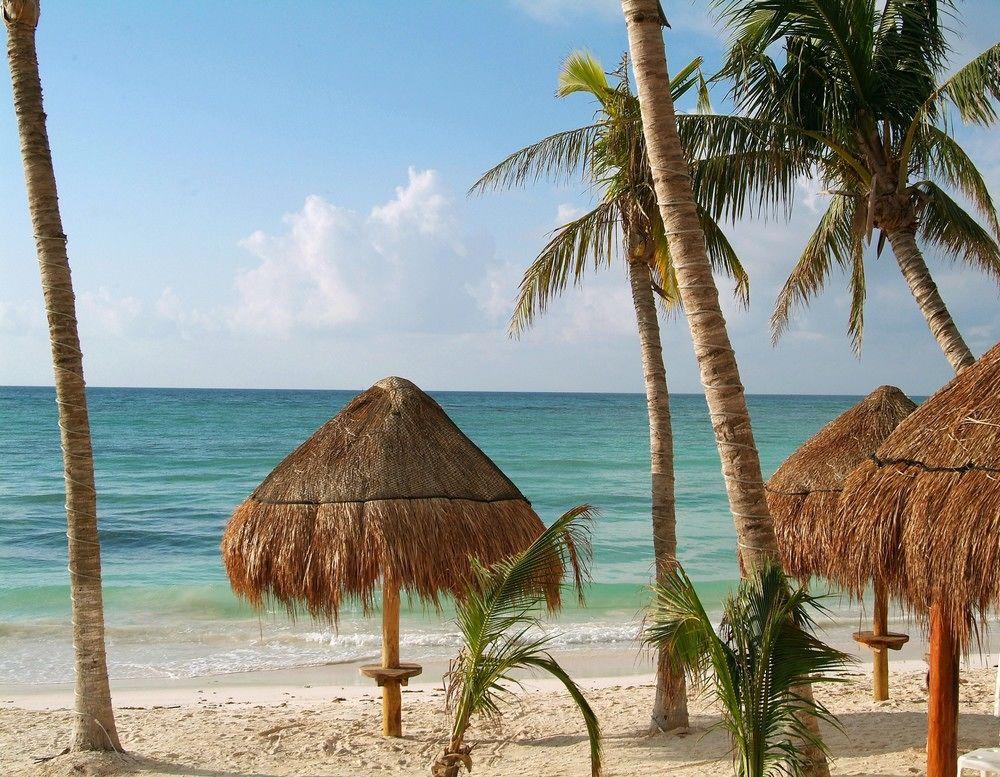 Hotel Hotel&beach Club 5*